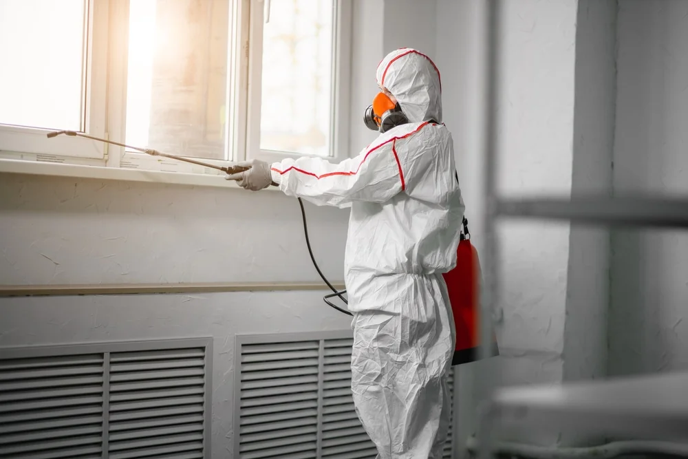 Professional mold remediation services in Wilmar, AR
